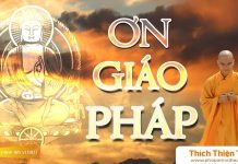 Ơn Giáo Pháp – Thích Thiện Tuệ on giao phap thich thien tue