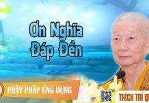 Ơn Nghĩa Đáp Đền – Thích Trí Quảng on nghia dap den thich tri quang