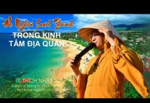 Ơn nghĩa sanh thành theo kinh Tâm Địa Quán – Thích Nhật Từ on nghia sanh thanh theo kinh ta