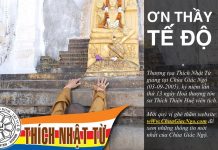 Ơn thầy tế độ (03/09/2005) – Thích Nhật Từ on thay te do 03 09 2005 thich n