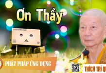 Ơn Thầy – Thích Trí Quảng on thay thich tri quang