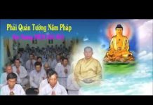 Phải Quán Tưởng Năm Pháp – Thích Giác Hóa phai quan tuong nam phap thich g