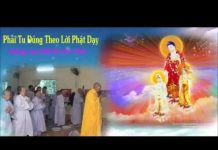 Phải Tu Đúng Như Lời Phật Dạy – Thích Giác Hóa phai tu dung nhu loi phat day th
