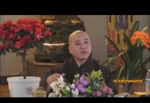 Phẩm Chất Người Cận Sự Phần 2 (vấn đáp) – Thích Pháp Hòa pham chat nguoi can su phan 2 va