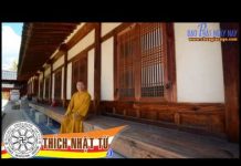 Pháp Đàm Về Phương Pháp Tu Tập Và Nghi Thức Tụng Niệm – Thích Nhật Từ phap dam ve phuong phap tu tap v