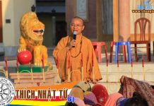 Pháp Đàm Về Tái Sanh và Tu Tập – Thích Nhật Từ phap dam ve tai sanh va tu tap t