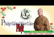 Pháp Giáo Hóa Của Phật – Thích Pháp Hòa phap giao hoa cua phat thich pha