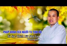 Pháp Hành Của Người Tu Tịnh Độ – Thích Nữ Như Lan phap hanh cua nguoi tu tinh do t