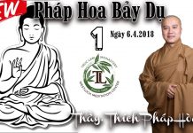 Pháp Hoa Bảy Dụ Phần 1 – Thích Pháp Hòa phap hoa bay du phan 1 thich pha