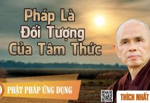 Pháp Là Đối Tượng Của Tâm Thức – Thích Nhất Hạnh phap la doi tuong cua tam thuc t