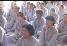 Pháp Lạc Và Thiền Duyệt – Thích Nữ Như Lan phap lac va thien duyet thich nu