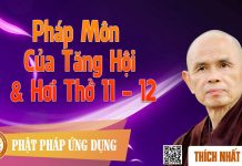 Pháp Môn Của Tăng Hội & Hơi Thở 11,12 – Thích Nhất Hạnh phap mon cua tang hoi hoi tho 11