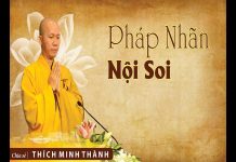 Pháp nhãn nội soi – Thích Minh Thành phap nhan noi soi thich minh tha