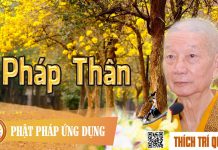 Pháp Thân – Thích Trí Quảng phap than thich tri quang 1
