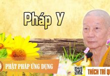 Pháp Y – Thích Trí Quảng phap y thich tri quang