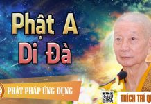 Phật A Di Đà – Thích Trí Quảng phat a di da thich tri quang