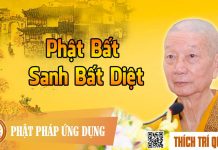 Phật Bất Sanh Bất Diệt – Thích Trí Quảng phat bat sanh bat diet thich tri