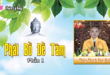 Phát Bồ Đề Tâm Phần 1 – Thích Tuệ Hải phat bo de tam phan 1 thich tue