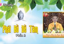 Phát Bồ Đề Tâm Phần 2 – Thích Tuệ Hải phat bo de tam phan 2 thich tue