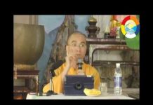 Phật Dạy Năm Điều Thường Nên Nhớ – Thích Thiện Tuệ phat day nam dieu thuong nen nho