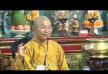 Phật giáo cho người bắt đầu – Thích Nhật Từ phat giao cho nguoi bat dau thic