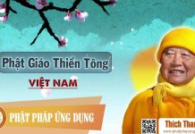 Phật Giáo Thiền Tông Việt Nam – Thích Thanh Từ phat giao thien tong viet nam th