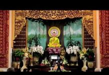 Phật Giáo Thời Đức Phật Phần 1 – Thích Trí Huệ phat giao thoi duc phat phan 1 t