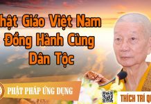Phật Giáo Việt Nam Đồng Hành Cùng Dân Tộc – Thích Trí Quảng phat giao viet nam dong hanh cun