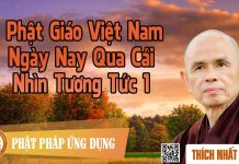Phật Giáo Việt Nam Ngày Nay Qua Cái Nhìn Tương Tức 1 – Thích Nhất Hạnh phat giao viet nam ngay nay qua