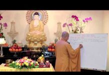 Phật Học Cho Người Việt Tại Nước Ngoài Phần 4 – Thích Trí Huệ phat hoc cho nguoi viet tai nuoc 2