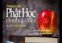Phật Học Thường Thức Kỳ 29 – Thích Minh Thành phat hoc thuong thuc ky 29 thich