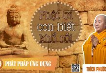 Phật Ơi Con Biết Khổ Rồi – Thích Phước Tiến phat oi con biet kho roi thich p