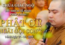 Phật ơi! Ngài gọi con – Thích Lệ Minh phat oi ngai goi con thich le mi