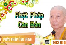 Phật Pháp Căn Bản – Thích Trí Quảng phat phap can ban thich tri quan