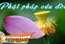 Phật pháp cứu đời – Thích Nhật Từ phat phap cuu doi thich nhat tu