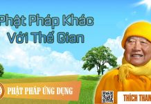 Phật Pháp Khác Với Thế Gian – Thích Thanh Từ phat phap khac voi the gian thic