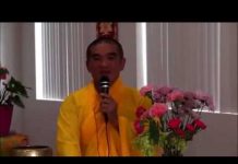 Phật Pháp Là Cội Nguồn An Lạc – Thích Tuệ Hải phat phap la coi nguon an lac th