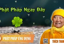 Phật Pháp Ngay Đây – Thích Thanh Từ phat phap ngay day thich thanh t