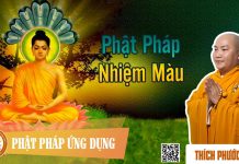 Phật Pháp Nhiệm Màu – Thích Phước Tiến phat phap nhiem mau thich phuoc