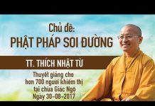 Phật Pháp Soi Đường – Thích Nhật Từ phat phap soi duong thich nhat t