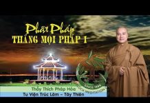 Phật Pháp Thắng Mọi Pháp Phần 1 – Thích Pháp Hòa phat phap thang moi phap phan 1