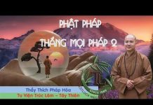 Phật Pháp Thắng Mọi Pháp Phần 2 (Vấn Đáp) – Thích Pháp Hòa phat phap thang moi phap phan 2