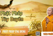 Phật Pháp Tùy Duyên – Thích Phước Tiến phat phap tuy duyen thich phuoc