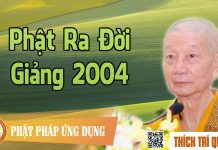 Phật Ra Đời giảng 2004 – Thích Trí Quảng phat ra doi giang 2004 thich tri