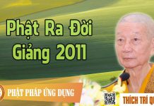 Phật Ra Đời giảng 2011 – Thích Trí Quảng phat ra doi giang 2011 thich tri