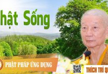 Phật Sống – Thích Trí Quảng phat song thich tri quang