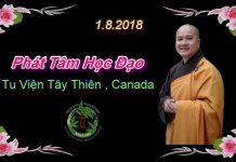 Phát Tâm Học Đạo – Thích Pháp Hòa phat tam hoc dao thich phap hoa