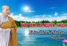 Phát Tâm – Lập Nguyện – Thực Hành – Thích Nữ Như Lan phat tam lap nguyen thuc hanh th