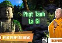 Phật Tánh Là Gì – Thích Phước Tiến phat tanh la gi thich phuoc tien