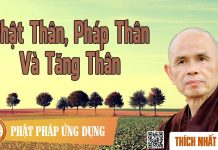 Phật Thân, Pháp Thân Và Tăng Thân – Thích Nhất Hạnh phat than phap than va tang than
